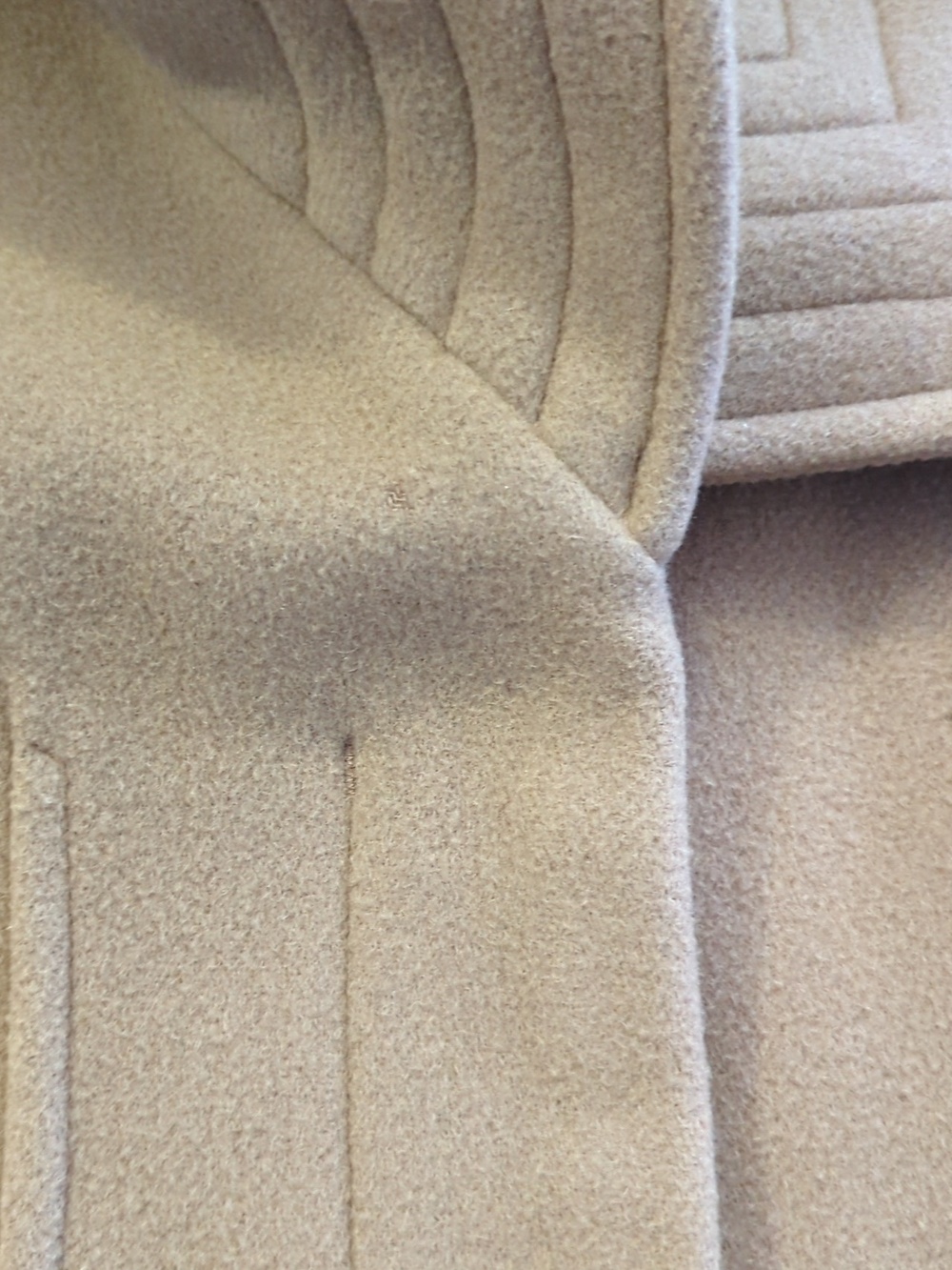 Babaton Coat - Picture 5 of 8